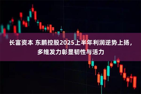 长富资本 东鹏控股2025上半年利润逆势上扬，多维发力彰显韧性与活力