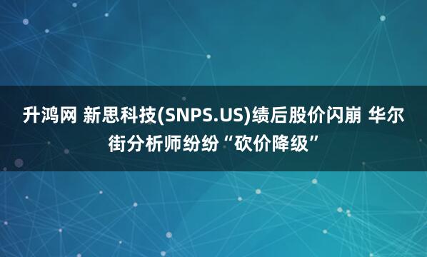 升鸿网 新思科技(SNPS.US)绩后股价闪崩 华尔街分析师纷纷“砍价降级”