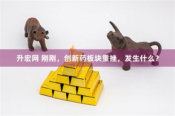 升宏网 刚刚，创新药板块重挫，发生什么？