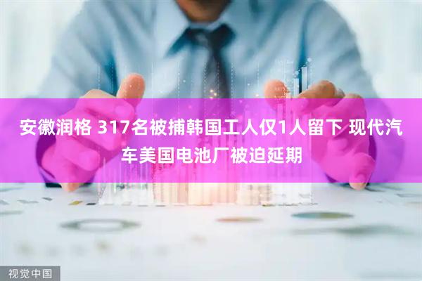 安徽润格 317名被捕韩国工人仅1人留下 现代汽车美国电池厂被迫延期