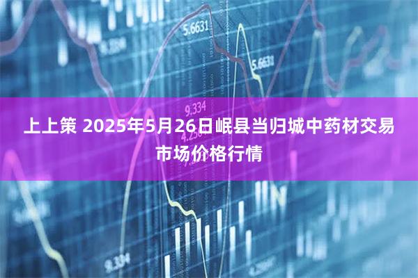 上上策 2025年5月26日岷县当归城中药材交易市场价格行情