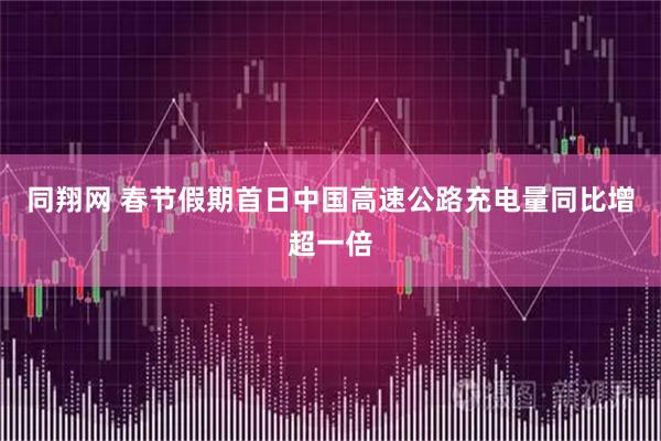 同翔网 春节假期首日中国高速公路充电量同比增超一倍