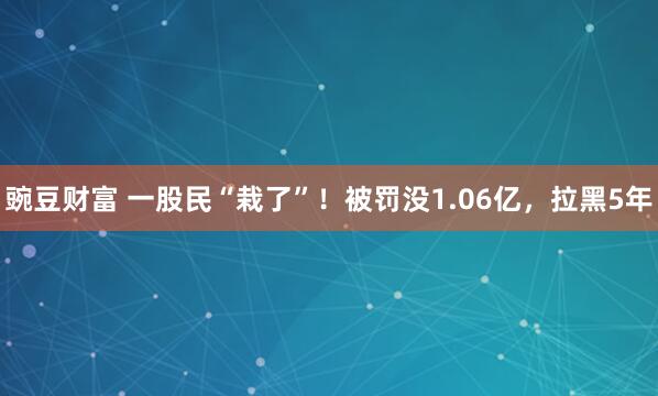 豌豆财富 一股民“栽了”！被罚没1.06亿，拉黑5年