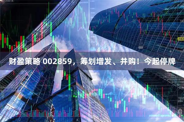 财盈策略 002859,筹划增发、并购!今起停牌